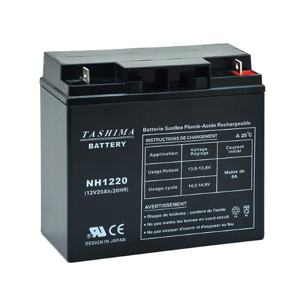 Castelgarden Lawnmower battery NH1220 / NH1218 12V 20Ah - B21075S - MOT8608